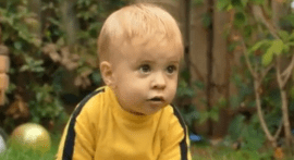 Dragon Baby Dragon Baby