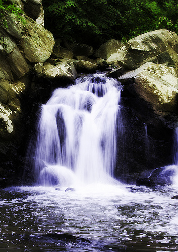 Flickr waltstoneburner